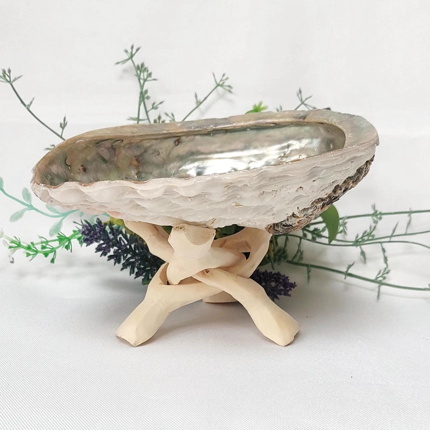 Abalone Shell & Wooden Tripod Stand Set, approx 12cm Smudge Bowl with Foldable Stand, Smudging Ritual Tool for Sage Incense Resin, UK Seller