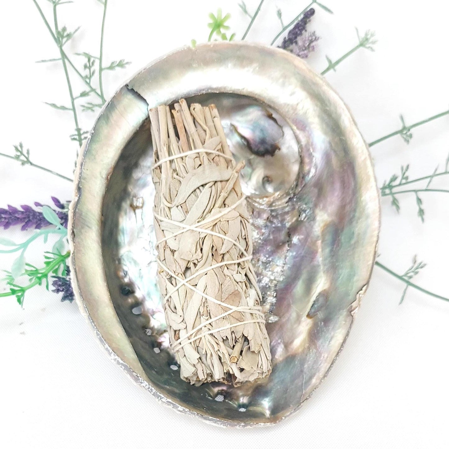 White Sage Smudge Kit with 12cm Abalone Shell, Energy Cleansing Kit, Aromatherapy Smudge Set, Spiritual Gift, Crystal Cleansing, UK Seller.