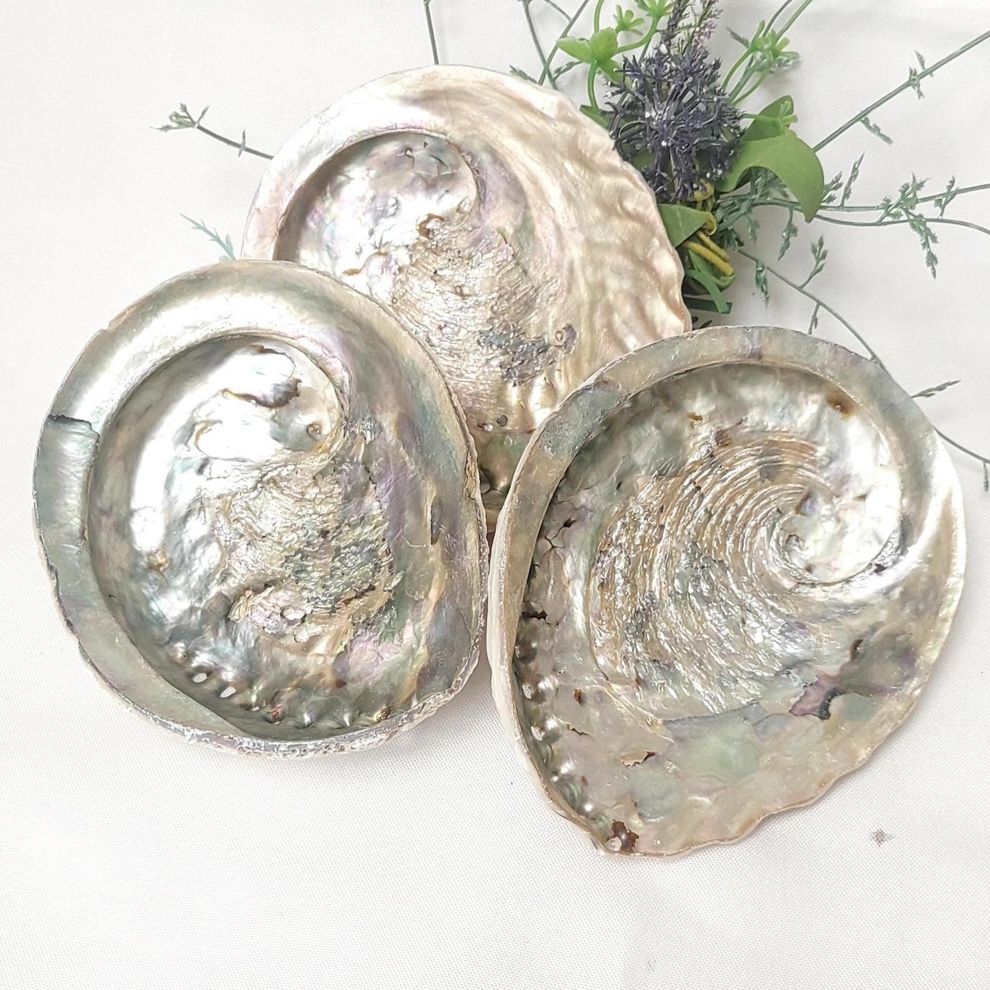 Abalone Shell & Wooden Tripod Stand Set, approx 12cm Smudge Bowl with Foldable Stand, Smudging Ritual Tool for Sage Incense Resin, UK Seller