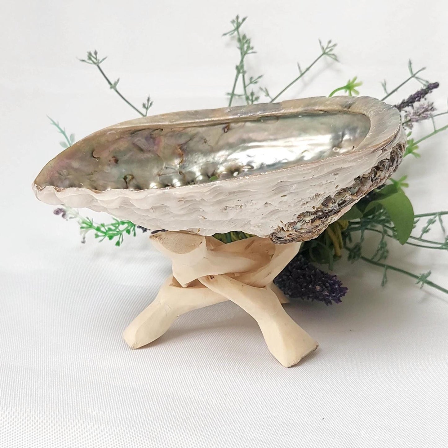 Abalone Shell & Wooden Tripod Stand Set, approx 12cm Smudge Bowl with Foldable Stand, Smudging Ritual Tool for Sage Incense Resin, UK Seller
