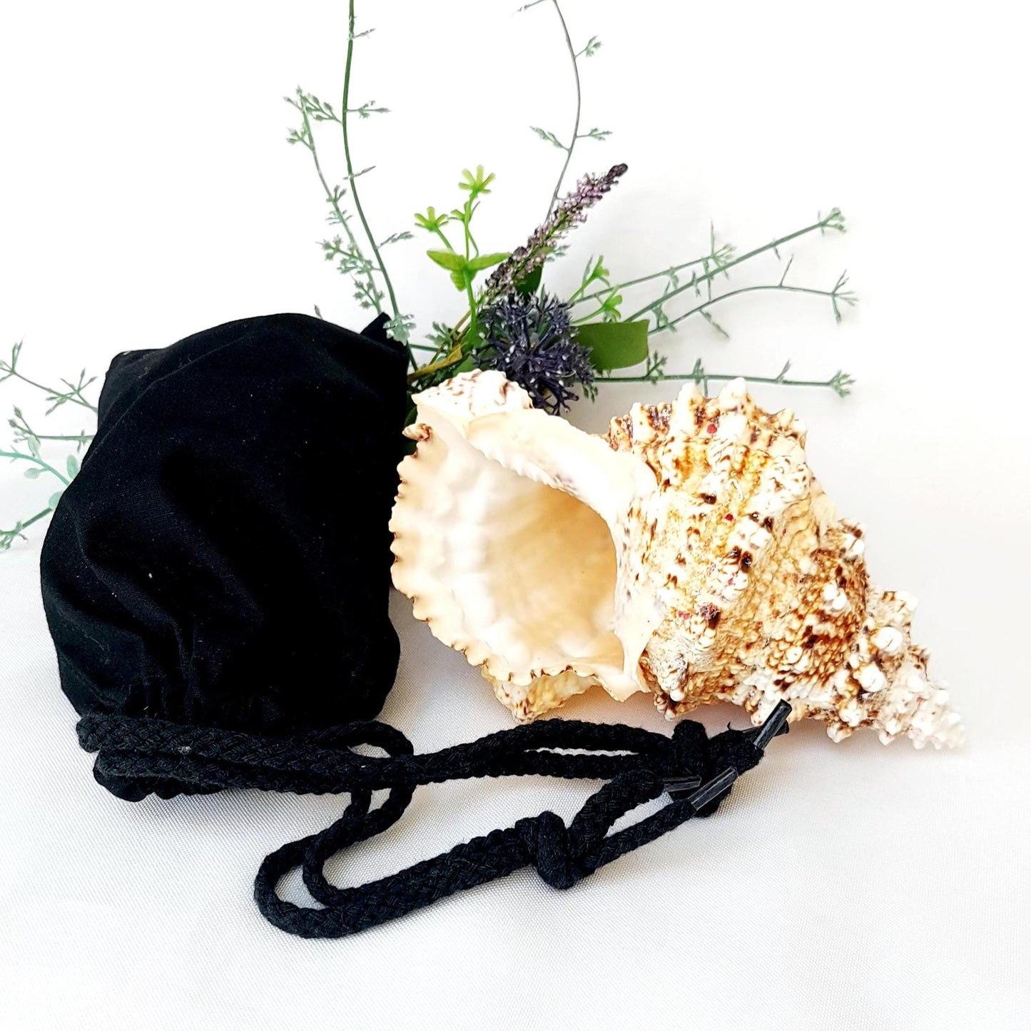 Natural Frog Shell, 17.5–20cm in Size with Black Pouch, Bursa Bobo, Beach House Decor, Natural Shell Ornament, Nautical Gift, UK Seller.