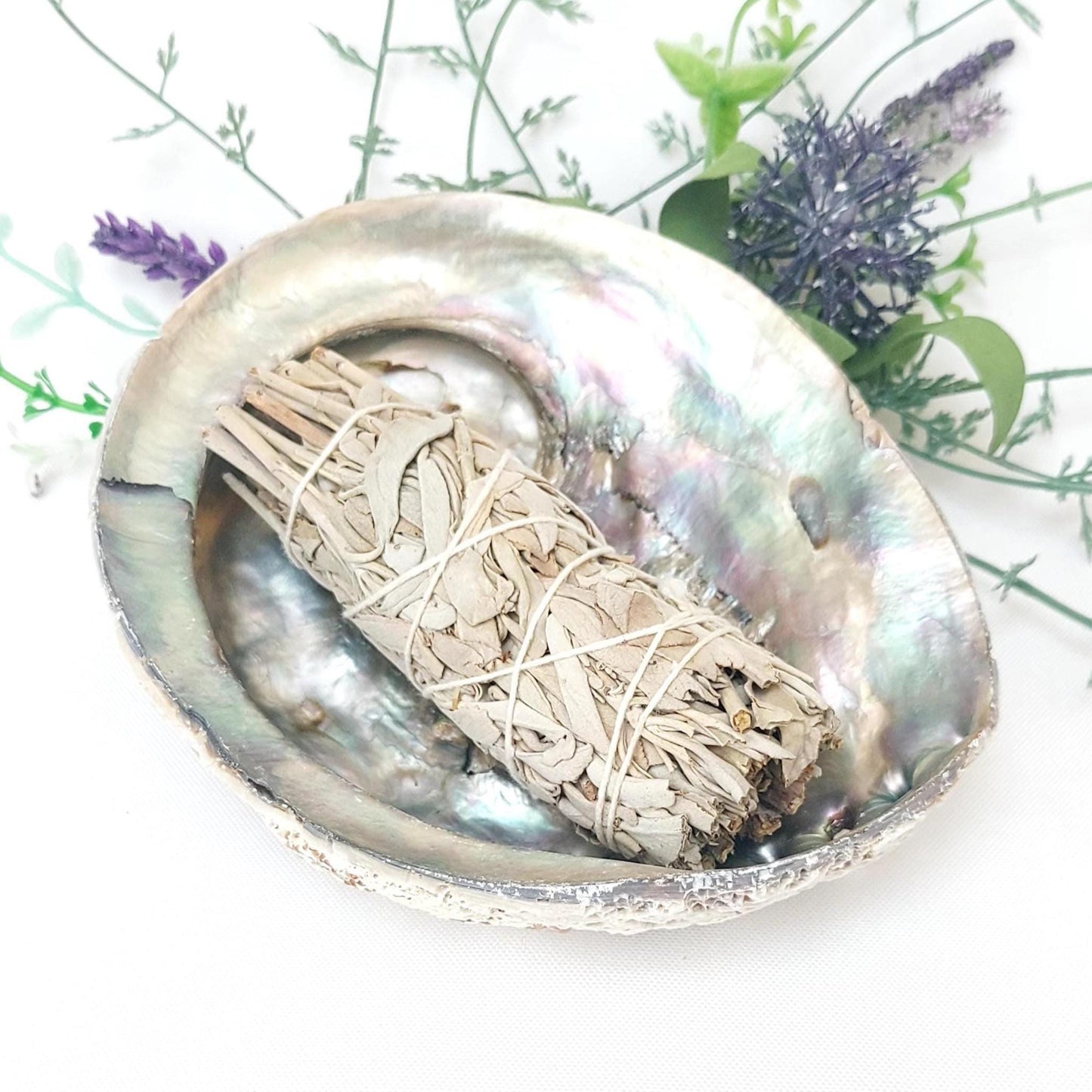 White Sage Smudge Kit with 12cm Abalone Shell, Energy Cleansing Kit, Aromatherapy Smudge Set, Spiritual Gift, Crystal Cleansing, UK Seller.