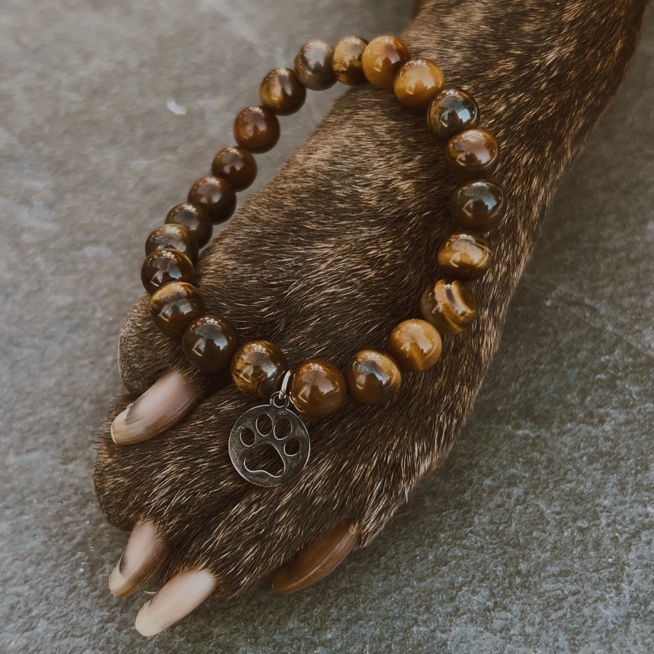 Pet Lover Bracelet, Tiger’s Eye Crystal with Stainless Steel Paw Charm, 8mm Beads, Dog and Cat Owner Gift Jewellery
