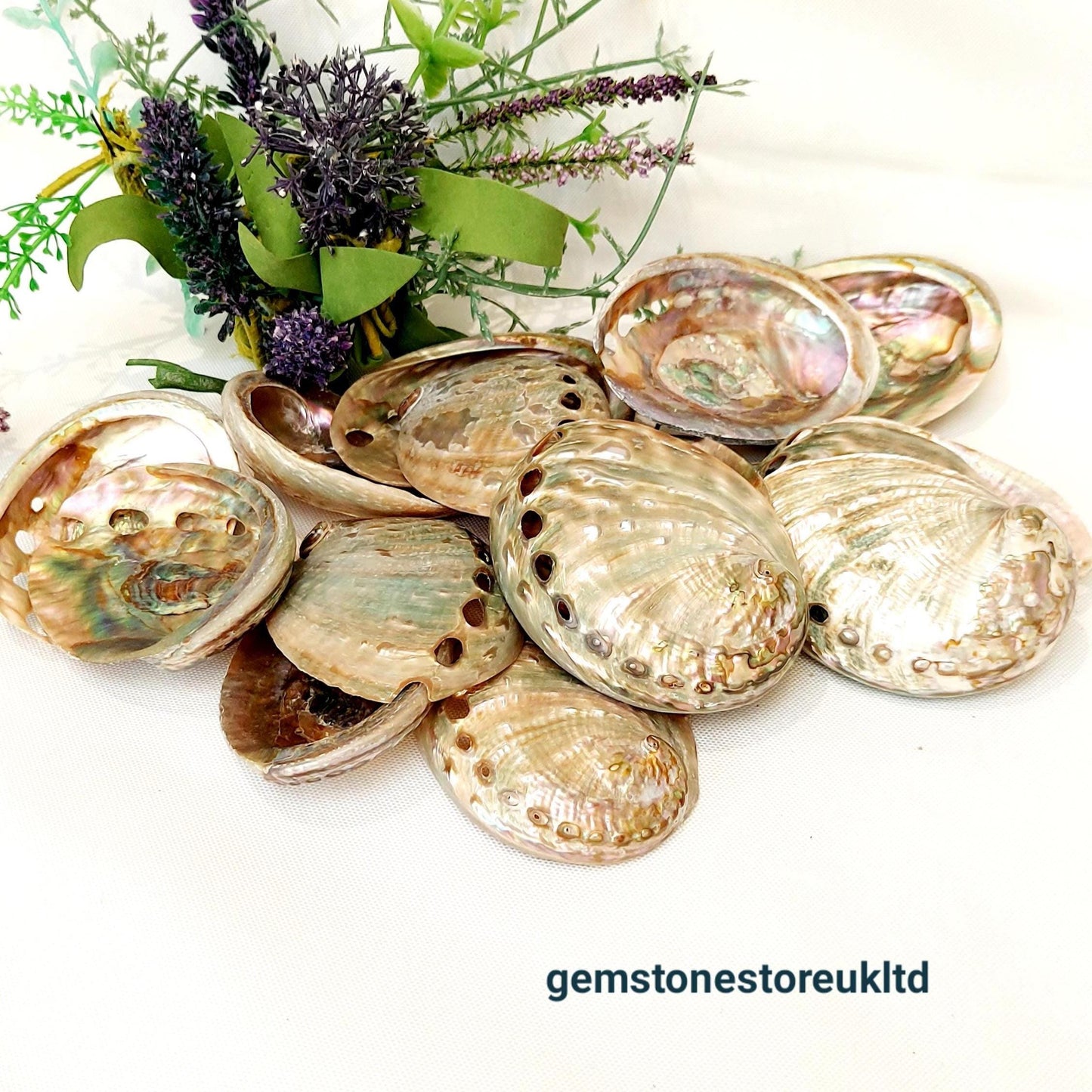 Natural polished abalone, Aqua Blue/Green, 60-75mm Small Smudge Shell, Smudge Bowl, Smudge Shell, Holds Smudge Sticks, Incense, UK Seller.