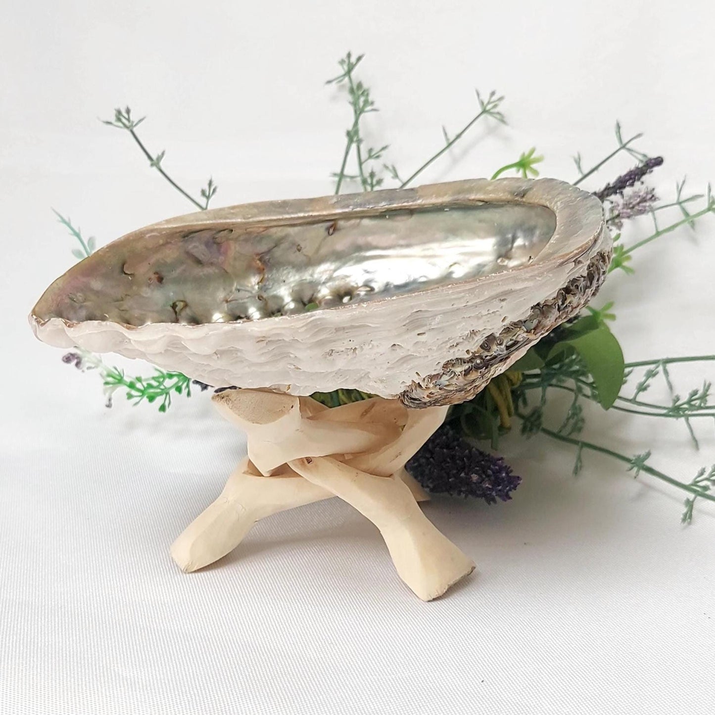 Abalone Shell & Wooden Tripod Stand Set, approx 12cm Smudge Bowl with Foldable Stand, Smudging Ritual Tool for Sage Incense Resin, UK Seller