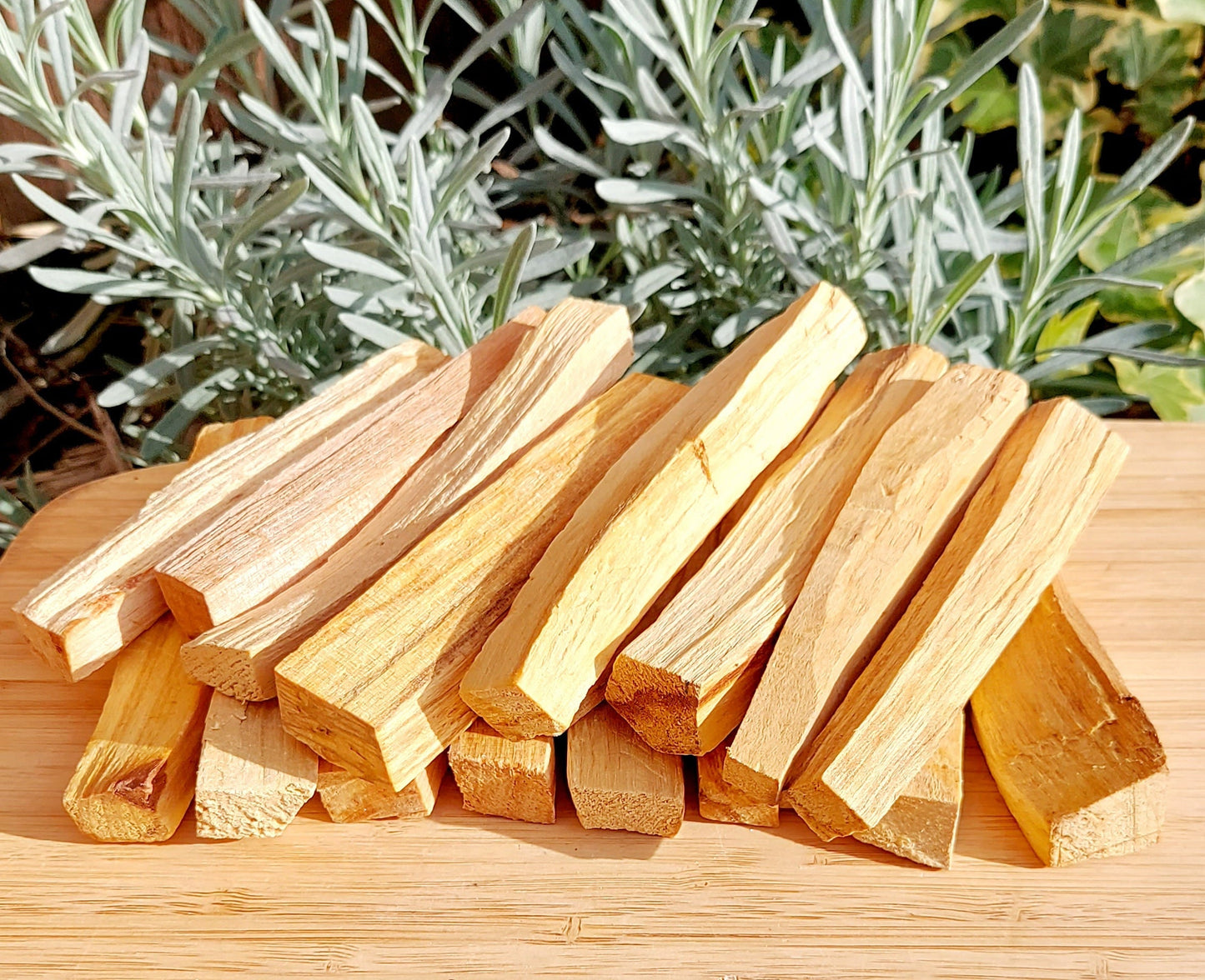 Palo Santo Wood (Holy Wood) Premium Quality, Therapeutic Holy Wood, Cleansing,Blessing & Purifying Rituals, You Choose How Many! (Peruvian)