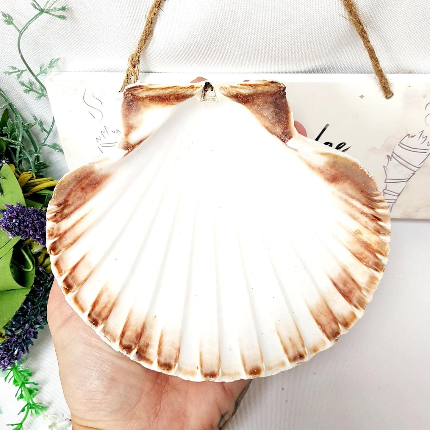 Go Smudge Yourself Wall Plaque Kit, Includes White Sage Smudge Stick & 14cm Scallop Shell. Choose Full Set or Individual Items, UK Seller