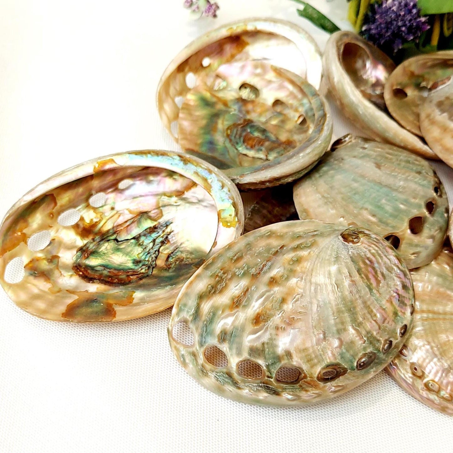 Natural polished abalone, Aqua Blue/Green, 60-75mm Small Smudge Shell, Smudge Bowl, Smudge Shell, Holds Smudge Sticks, Incense, UK Seller.