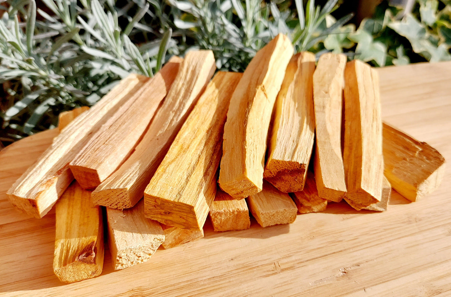 2 White Sage Smudge and 7 Palo Santo Bundle, 4" White Sage Smudge Bundle & Holy Wood, Smudge Sticks,Smudging Ceremonies Boxed Gift Set.