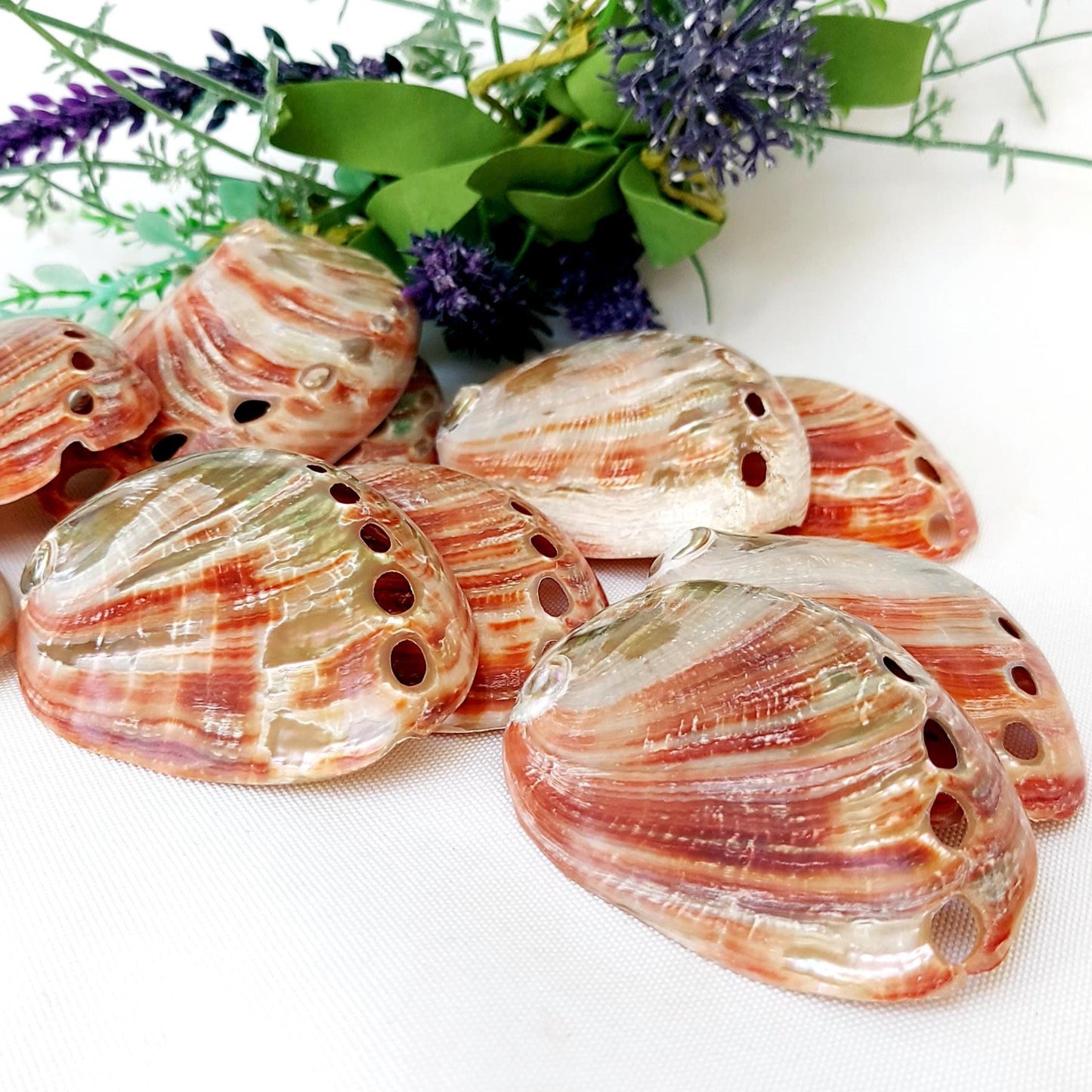 Natural polished Red Abalone, 60-75mm Small Smudge Shell, Smudge Bowl, Smudge Shell, Holds Smudge Sticks, Incense, UK Seller.