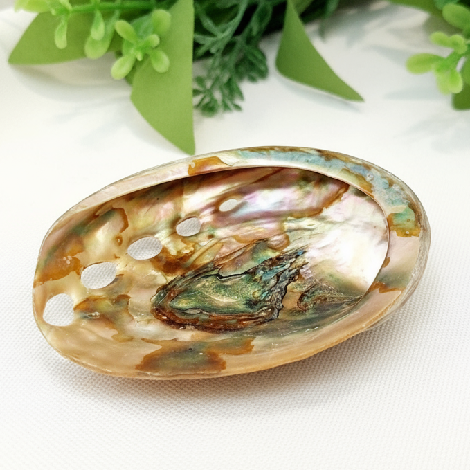 Enhanced Abalone on White