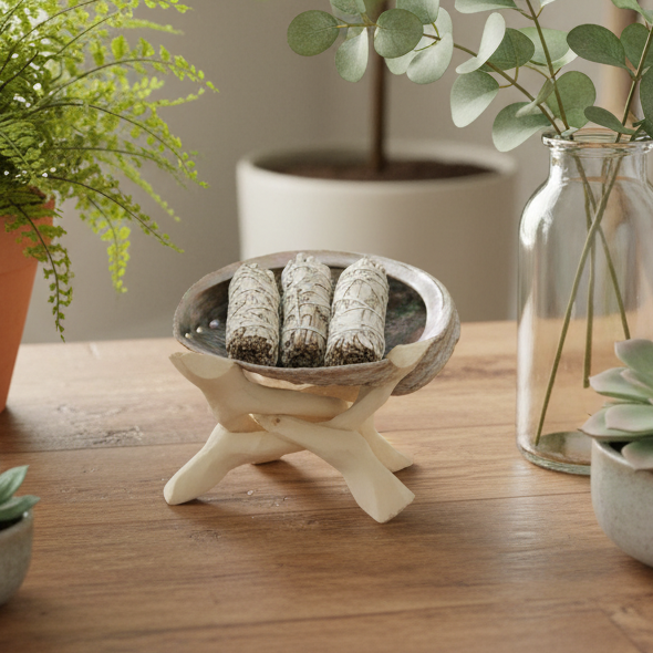 Holistic sage kit with plants