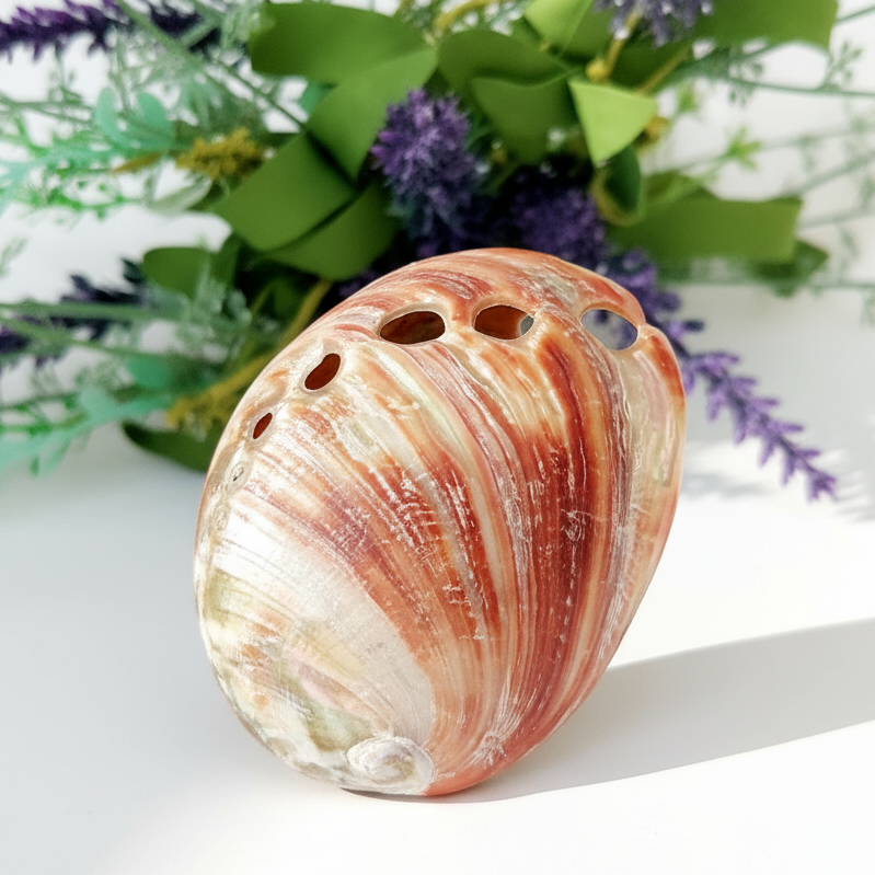 Red Abalone on White with Foliage