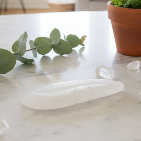 Selenite feather with eucalyptus and ferns