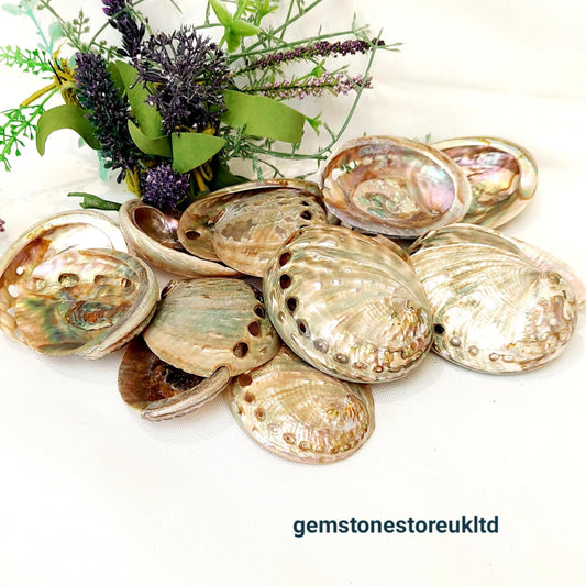 Natural polished abalone, Aqua Blue/Green, 60-75mm Small Smudge Shell, Smudge Bowl, Smudge Shell, Holds Smudge Sticks, Incense, UK Seller.