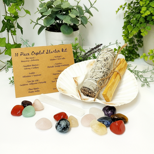 White Sage and Crystal Starter Kit with plants